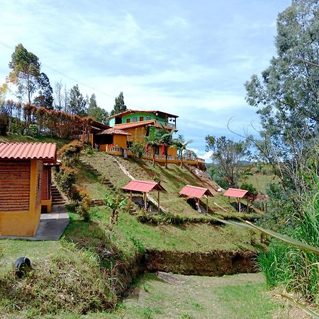 Vista Hermosa Eco Hostal Carmen de Viboral Ngoại thất bức ảnh