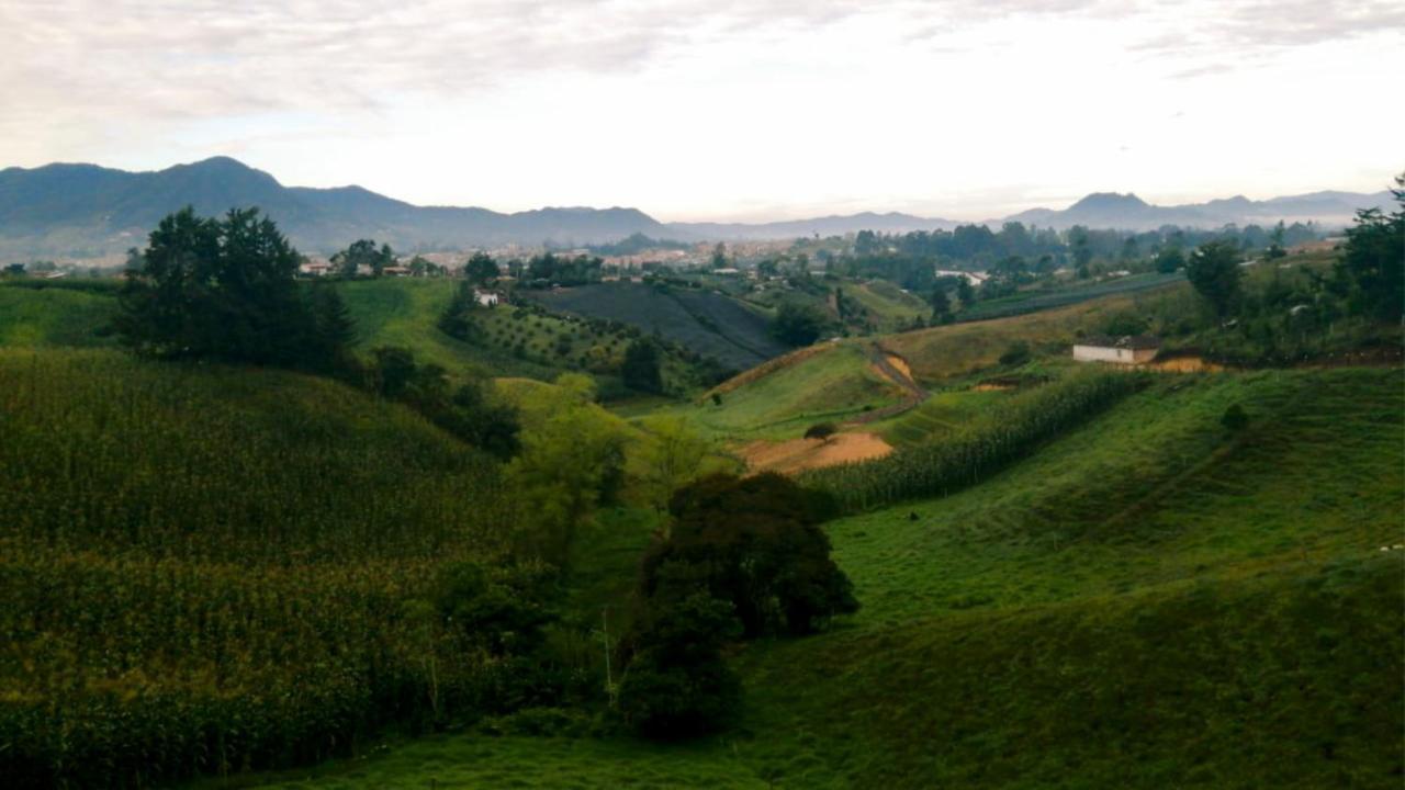 Vista Hermosa Eco Hostal Carmen de Viboral Ngoại thất bức ảnh