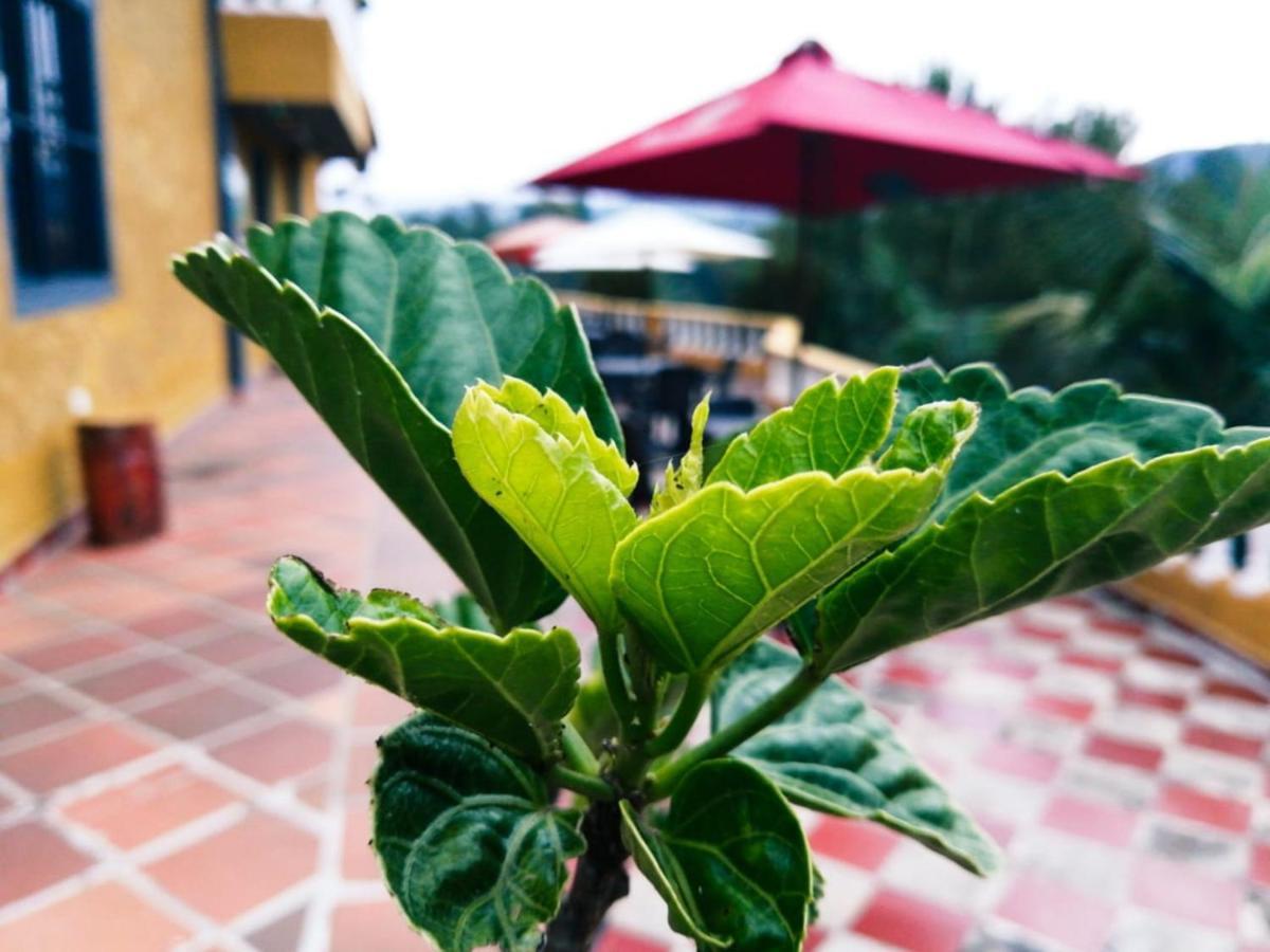 Vista Hermosa Eco Hostal Carmen de Viboral Ngoại thất bức ảnh