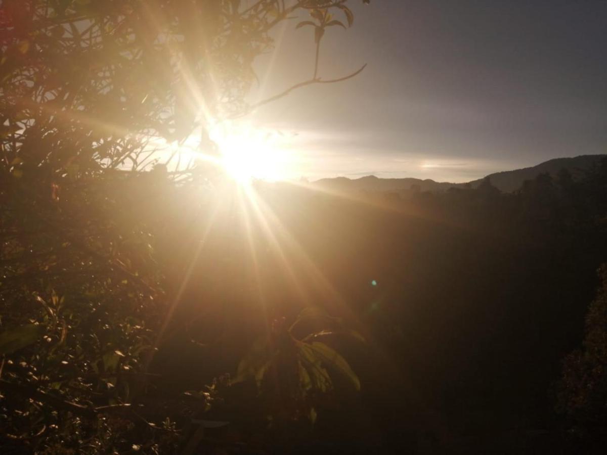Vista Hermosa Eco Hostal Carmen de Viboral Ngoại thất bức ảnh