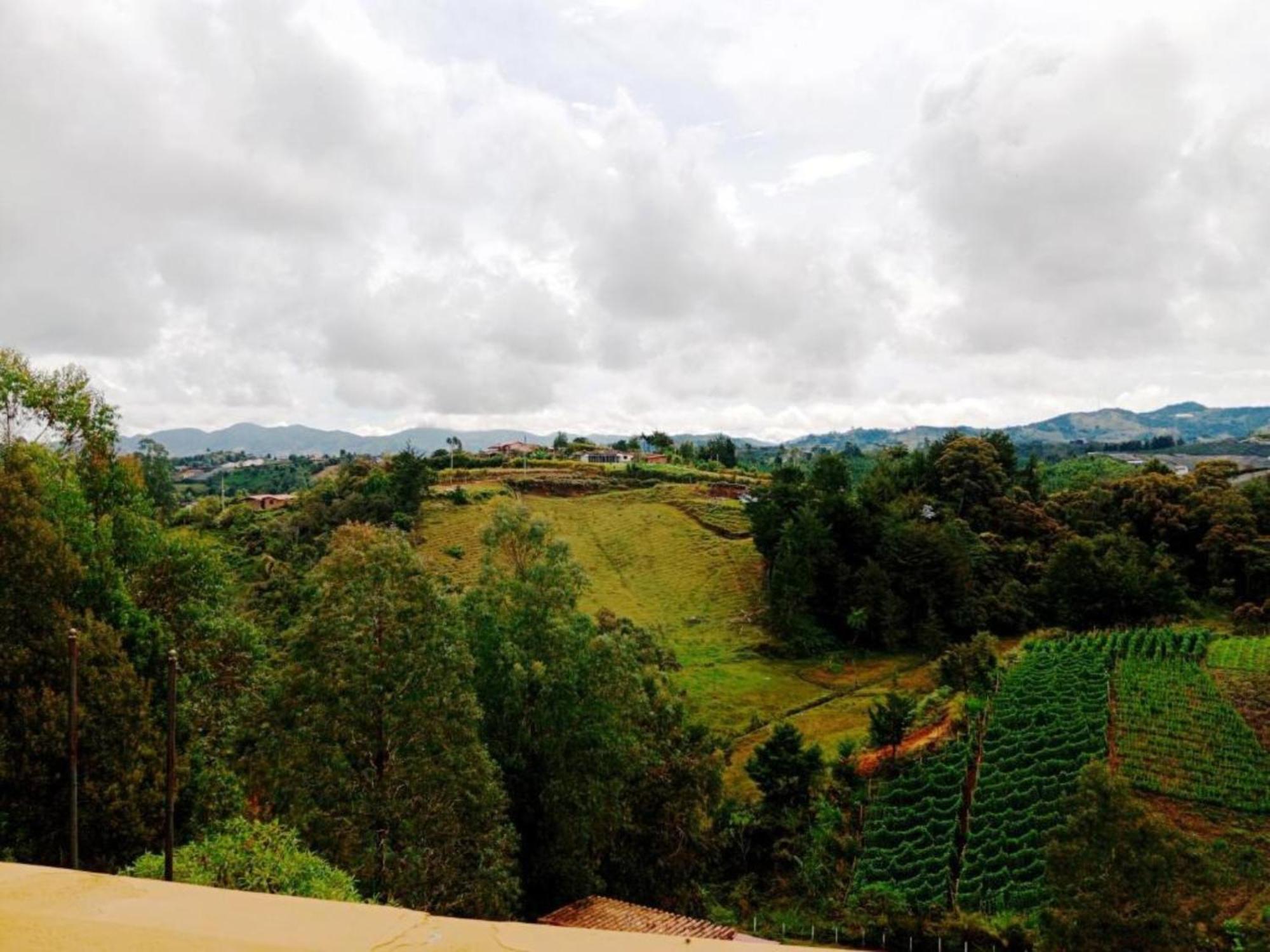 Vista Hermosa Eco Hostal Carmen de Viboral Phòng bức ảnh